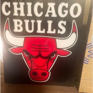 Chicago bulls neon lights